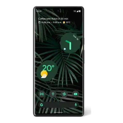 Google Pixel 6 Pro