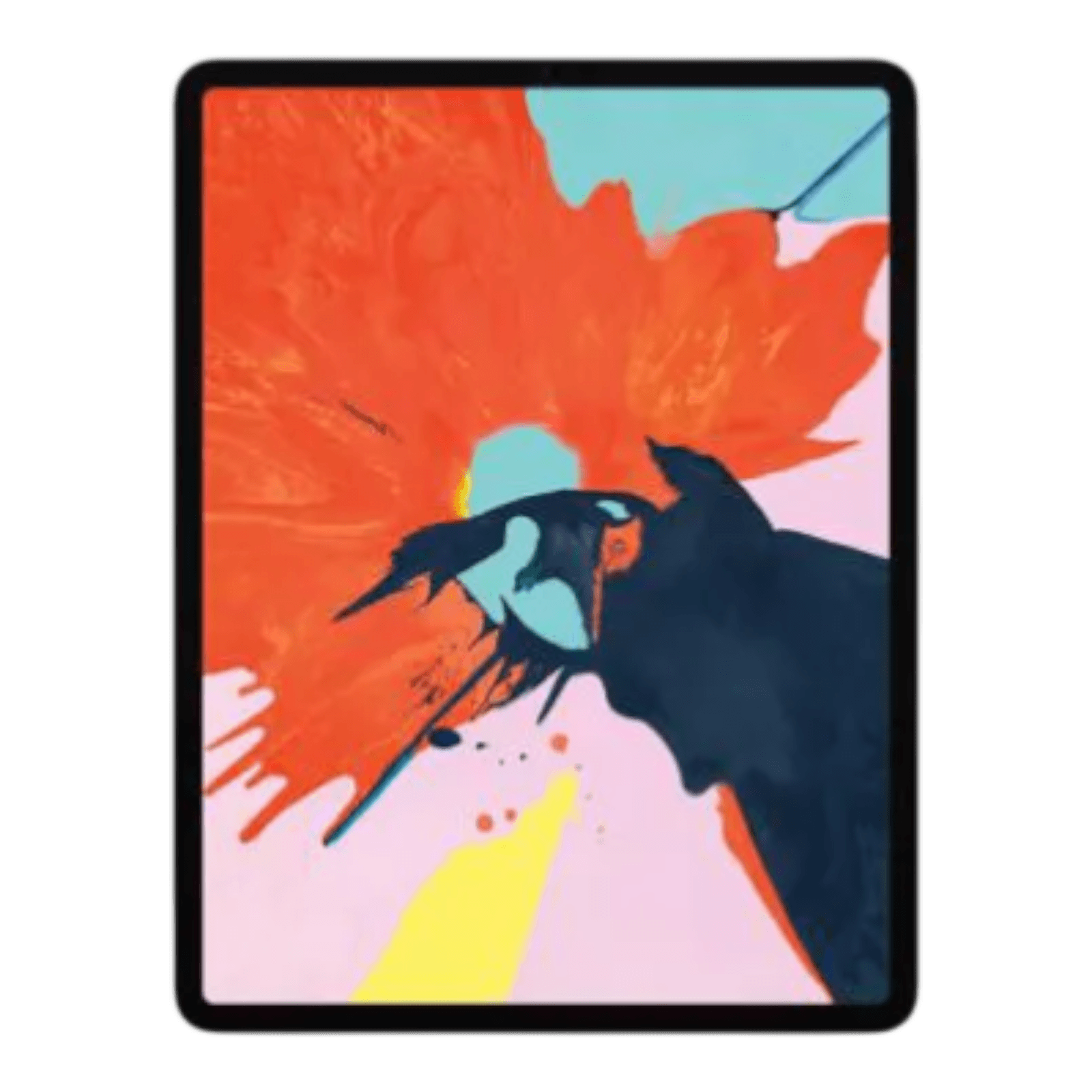 iPad Pro 12.9 3rd Gen
